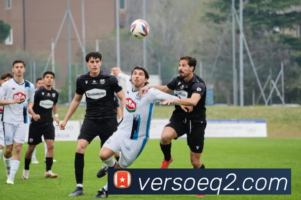 ng28网页版APP 封面图